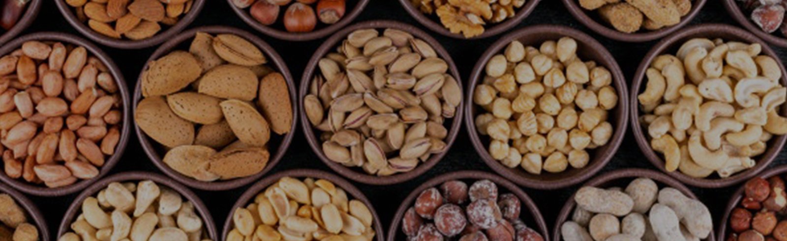 export companies in chennai 